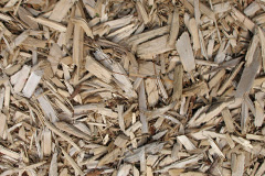 biomass boilers Thrushelton