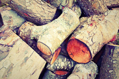 Thrushelton wood burning boiler costs